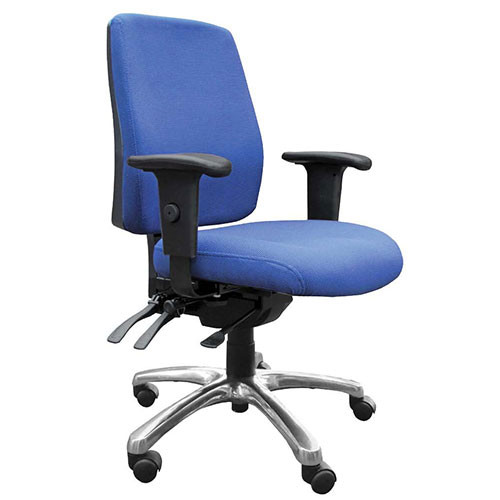Alpha High Back Ergonomic Task Chair
