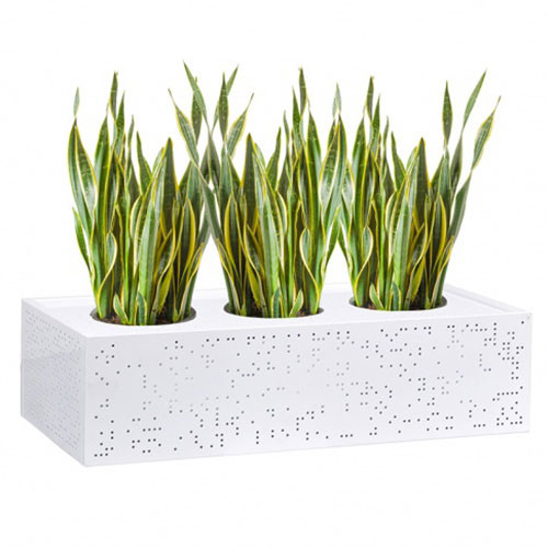Lunar Metal Planter Box
