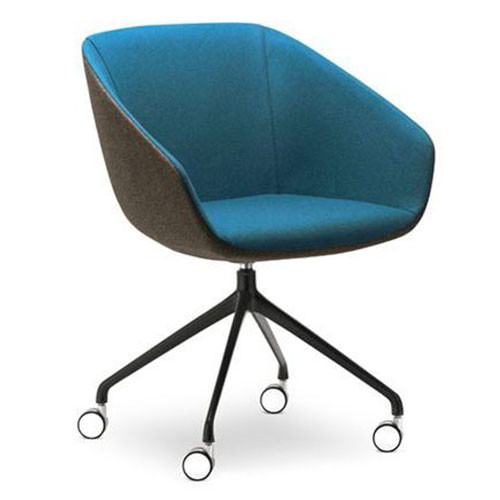 Delphi Meeting Chair