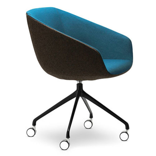 Delphi Meeting Chair
