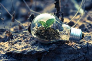 Think Green Think Sustainable Think Biophilic Office Design